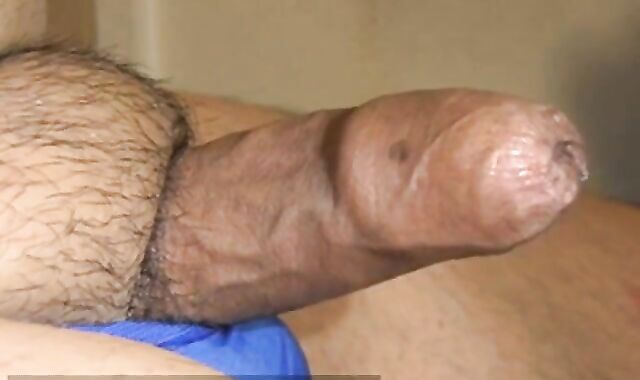 Fat Asian Bear's Erection