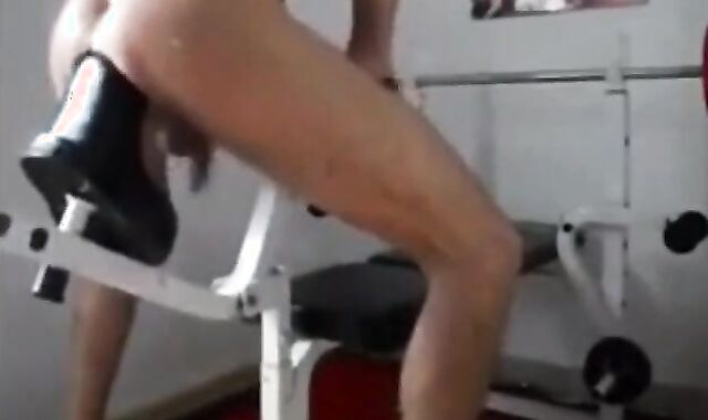 Fisting Horse Machine