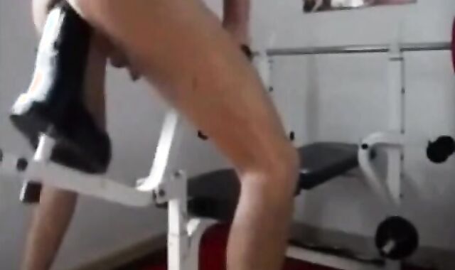 Fisting Horse Machine