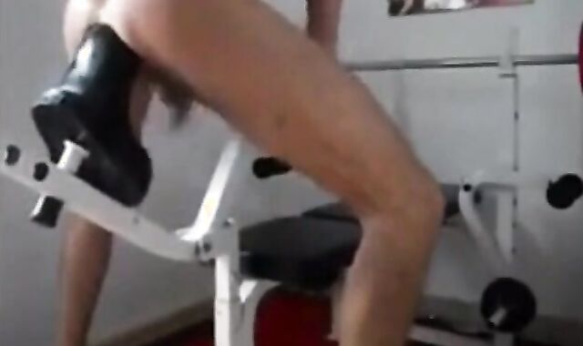 Fisting Horse Machine