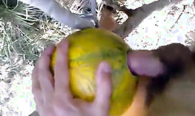 Outdoor Melon Play 2