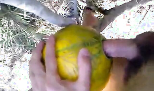 Outdoor Melon Play 2