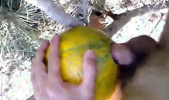 Outdoor Melon Play 2