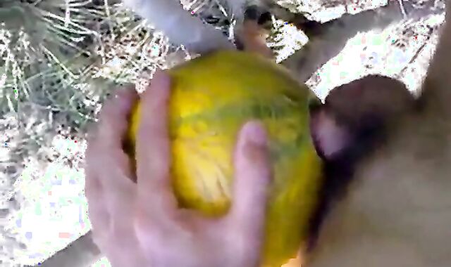 Outdoor Melon Play 2