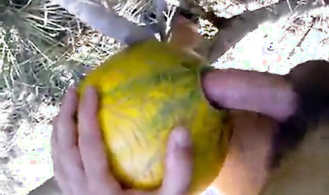 Outdoor Melon Play 2
