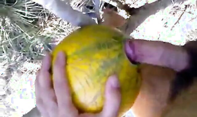 Outdoor Melon Play 2