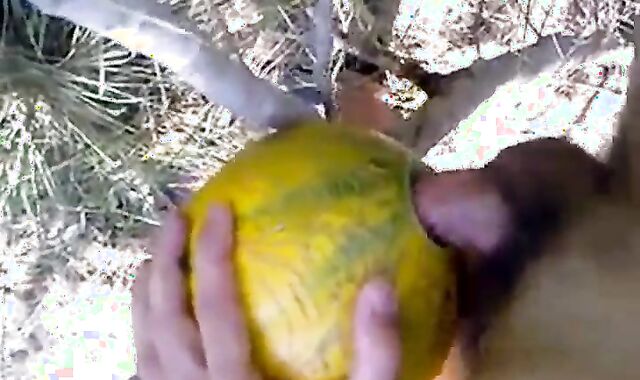 Outdoor Melon Play 2