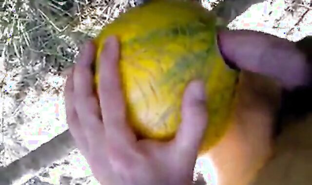 Outdoor Melon Play 2