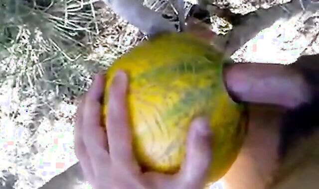 Outdoor Melon Play 2
