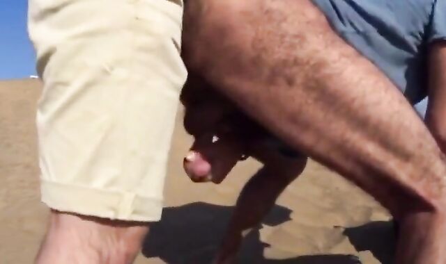 Bareback Outdoor Fun with a Stranger on a Dune 2