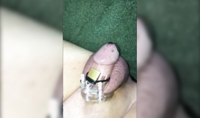 Cuckold Humiliation: Caged, Fat Cock Exposed by Hotgirl