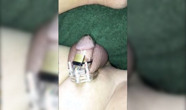 Cuckold Humiliation: Caged, Fat Cock Exposed by Hotgirl