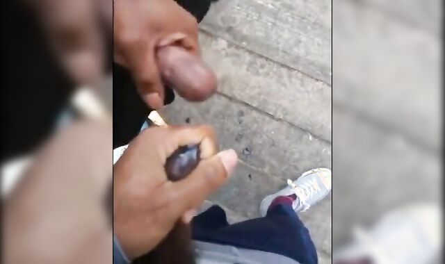 Black amateurs stroke big cocks outdoors