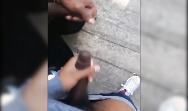Black amateurs stroke big cocks outdoors