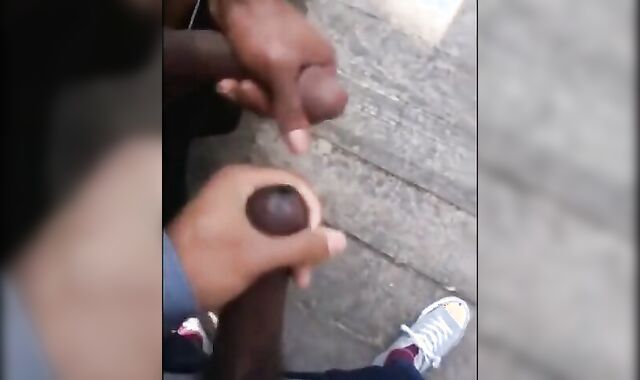 Black amateurs stroke big cocks outdoors