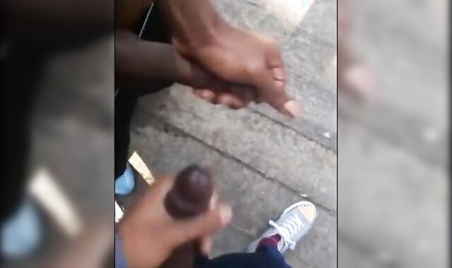 Black amateurs stroke big cocks outdoors