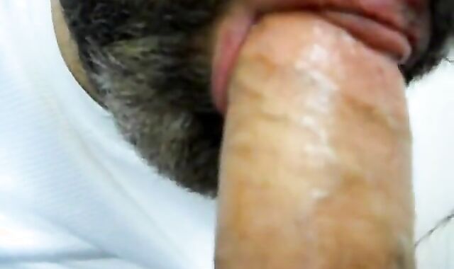 Mature Gay Bear Gives Blowjob