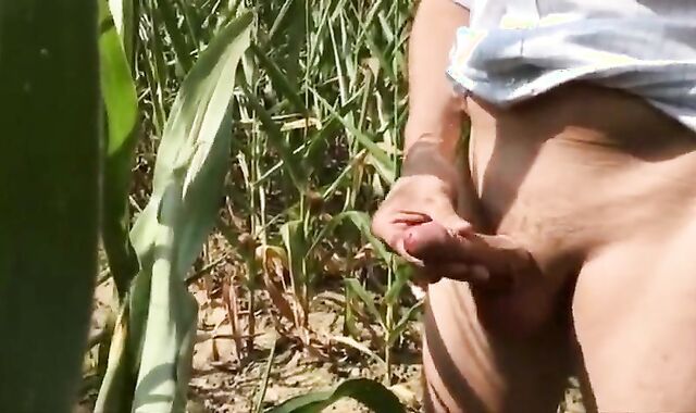 Summer Sun, Outdoor Fun: Wank & Piss 2