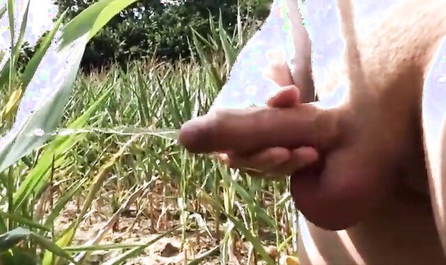 Summer Sun, Outdoor Fun: Wank & Piss 2