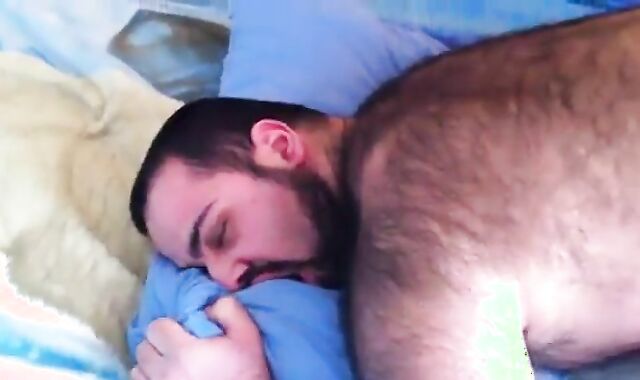 Osos Maduros en la Cama