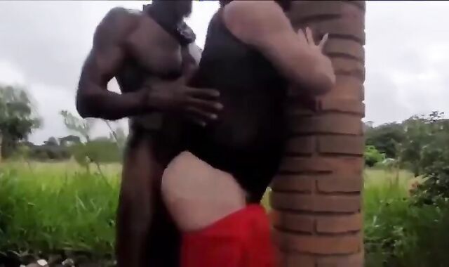 Cruising darksome Horse Hung penis