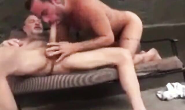 Big Dick Hairy Daddy Breeds Twink Bareback
