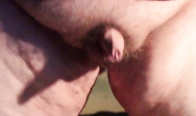 Chubby Guy's Little Joystick Swings Freely 2