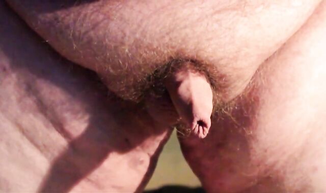 Chubby Guy's Little Joystick Swings Freely 2