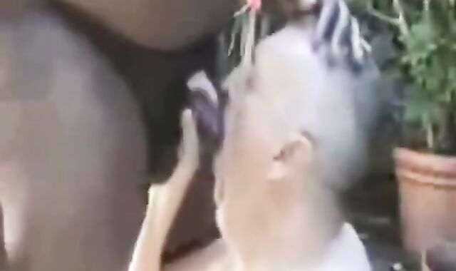 Gay Amateur: BEGGING FOR PISS , & CUM FROM BIG BLACK COCK ! I