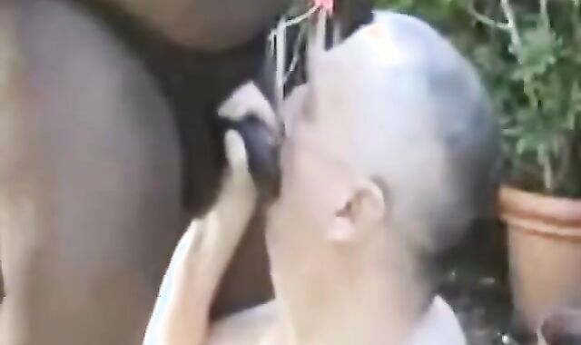 Gay Amateur: BEGGING FOR PISS , & CUM FROM BIG BLACK COCK ! I