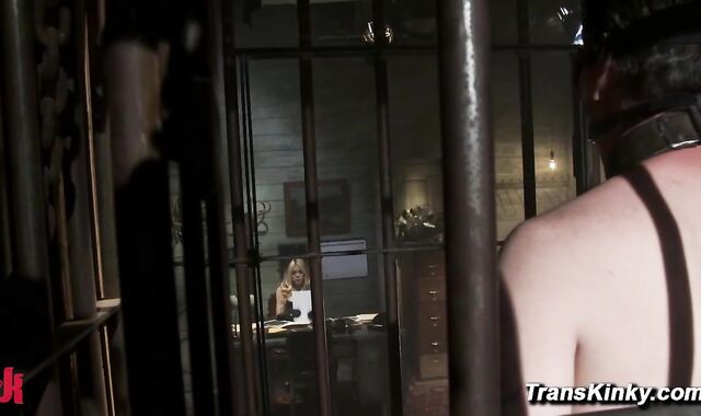 Wives Club Transsexual Cheats