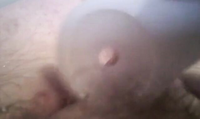 Stroking My Tiny Dick with a Monkey Spanker!