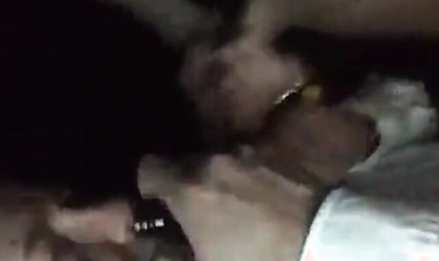 Mature Daddy Blows Young Stud in Cruising Cinema 2