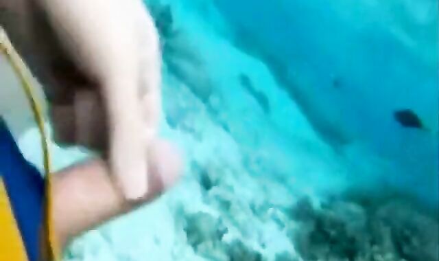 18: fish eat cums in ocean