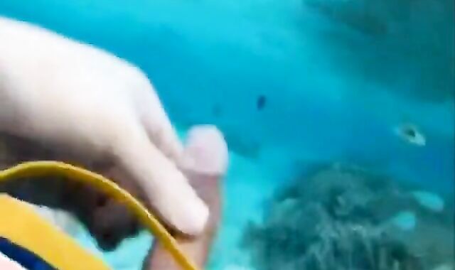 18: fish eat cums in ocean