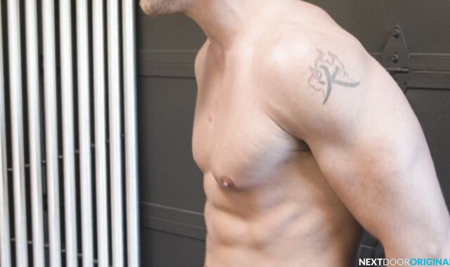 Next Door Originals: Knockout Enjoy: Todd's Turnabout