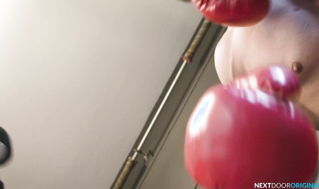 Next Door Originals: Knockout Enjoy: Todd's Turnabout