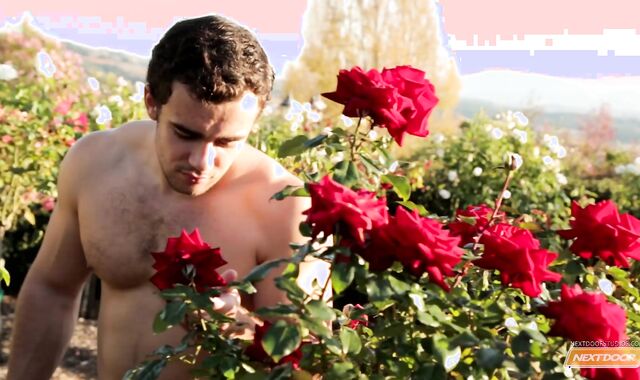 Next Door Masculine: Guy's Sunlit Temptation