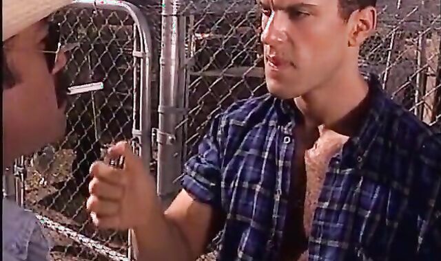 Farm Father And His stud