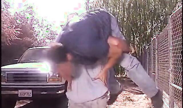 Farm Father And His stud