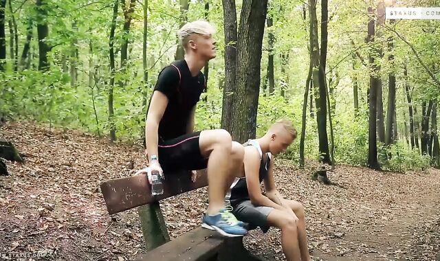 A Three-way in the Forest