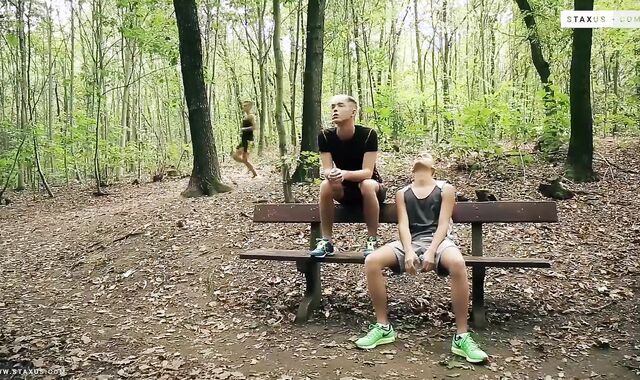 A Three-way in the Forest