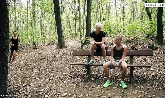 A Three-way in the Forest