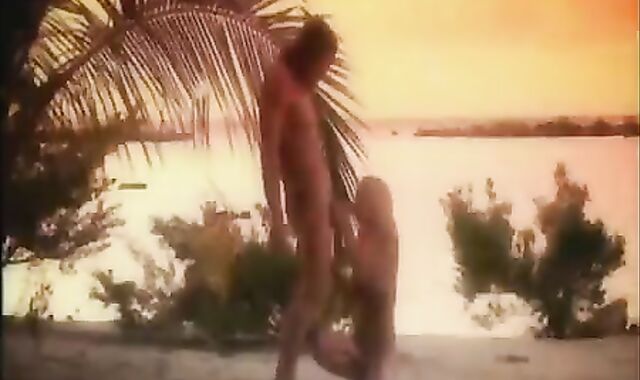 Island Fever4 gay Robot Groove Remix