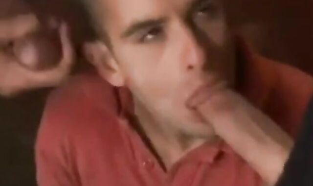 gay masculines At The Pub