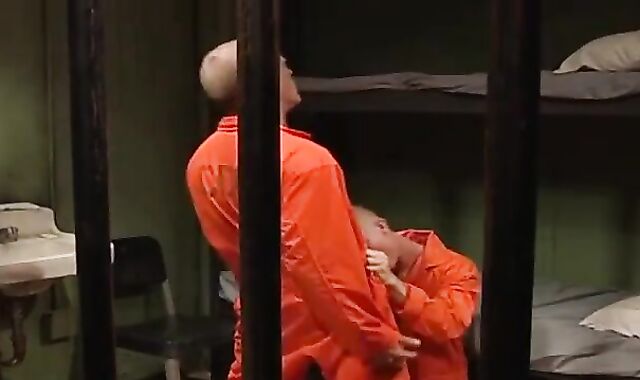 Gaol 4-way: Billy cute, Papi Moreno, Josh O'Hara & Ben