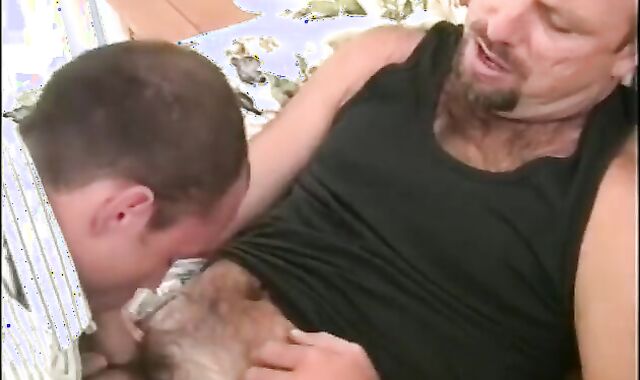 Trio senior boys fellate One one greater quantity Off In Motel Apartment