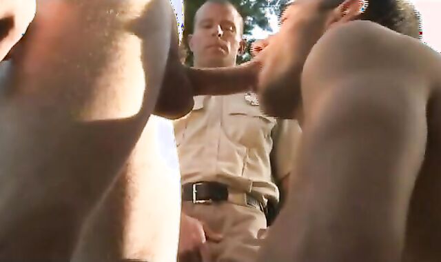 Display The Officer
