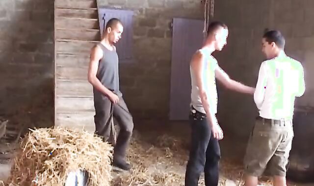 that fellow Invites His 2 mates To poke Him In The Barn
