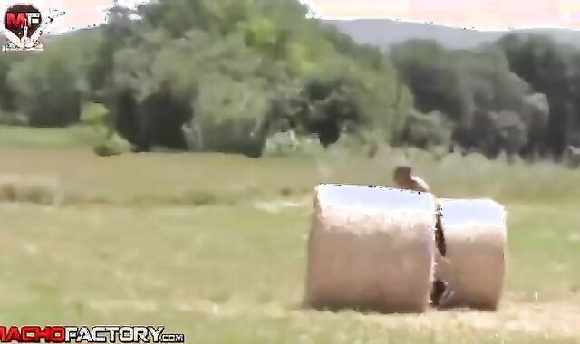 fat ebony jock bonks two Bottoms In The HayStacks